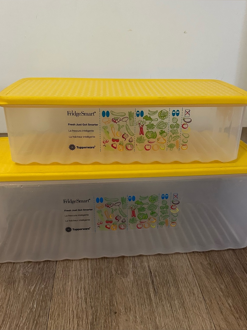 Fridgesmart Tupperwear Large and Medium Containers
